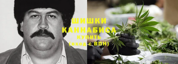 гидра Аркадак